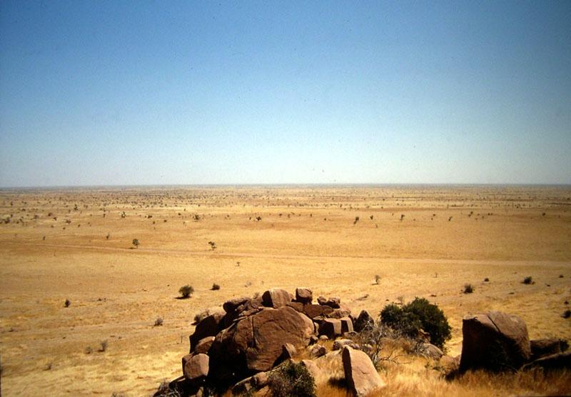 Foto: �ad-La brousse