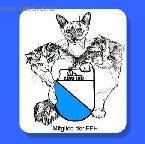 Fotky: Felinologick� organizace (foto, obrazky)