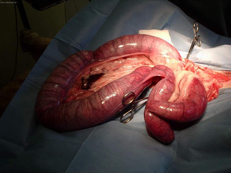 Foto: Gynekologie