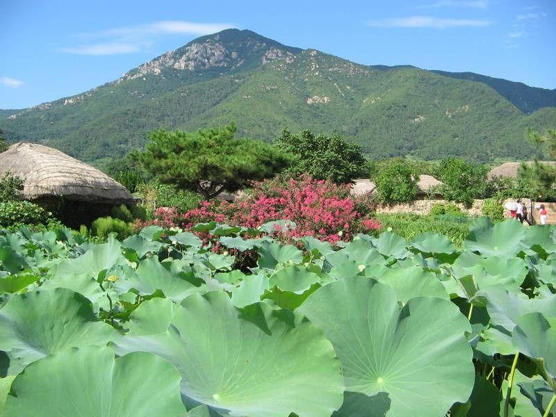 Fotky: Ji�n� Korea (foto, obrazky)