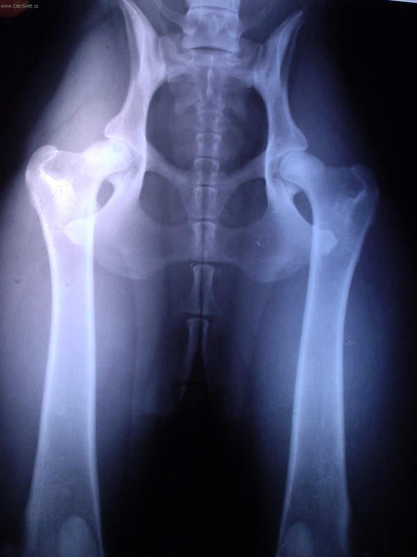 Foto: Ortopedie - DKK