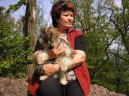 Fotky: Bolo�sk� ps�k (foto, obrazky)