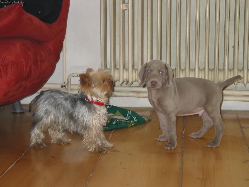 Foto: Garp a Meg