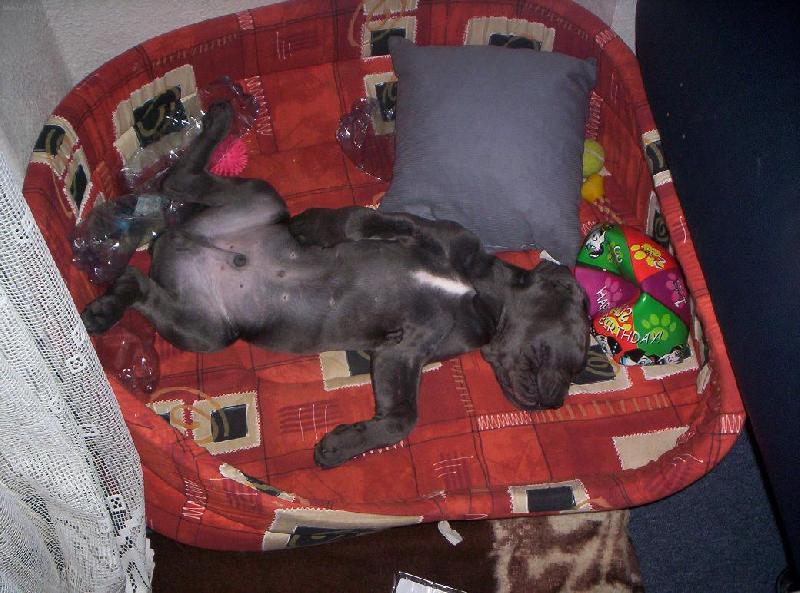 Foto: :-)-Aritto