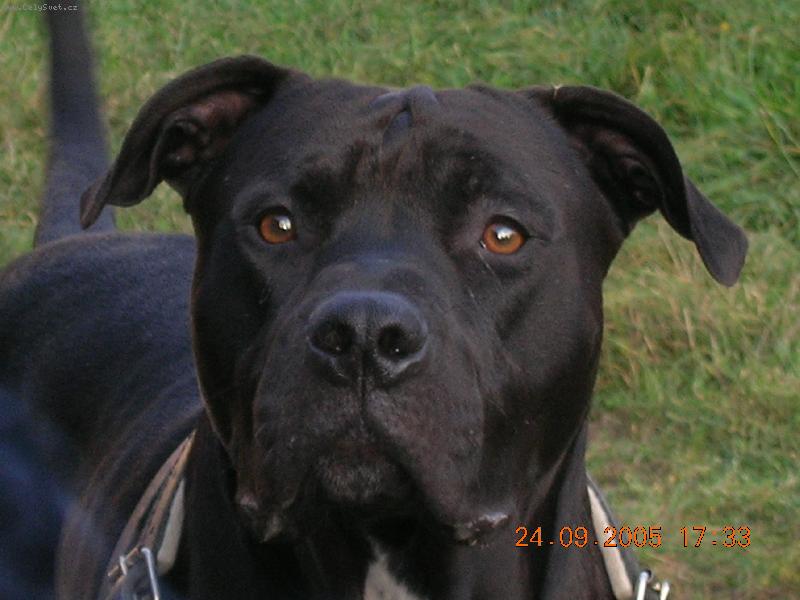 Foto: Argo