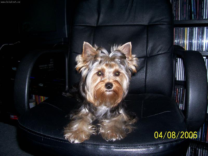 Foto: Bessy