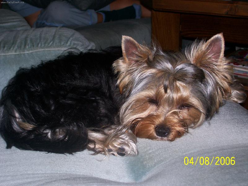 Foto: Bessy