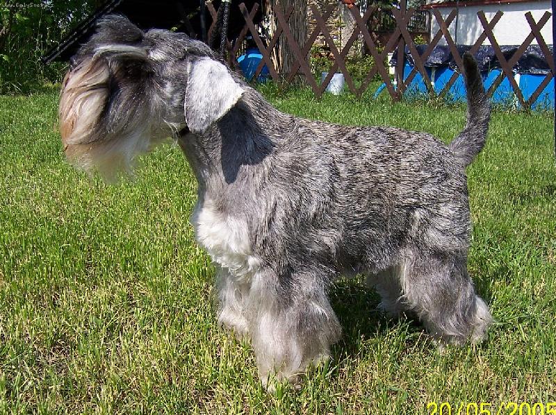 Foto: Flavie