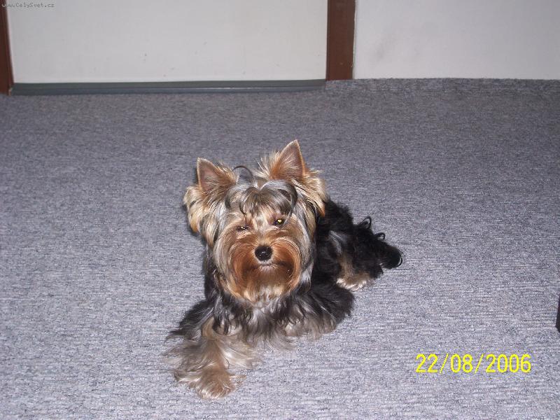 Foto: Bessy