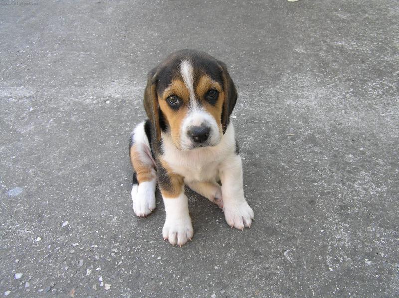 Foto: Terinka