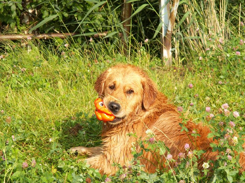 Foto: Clark-u vody