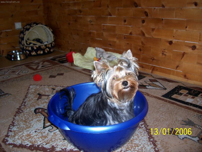 Foto: Bessy