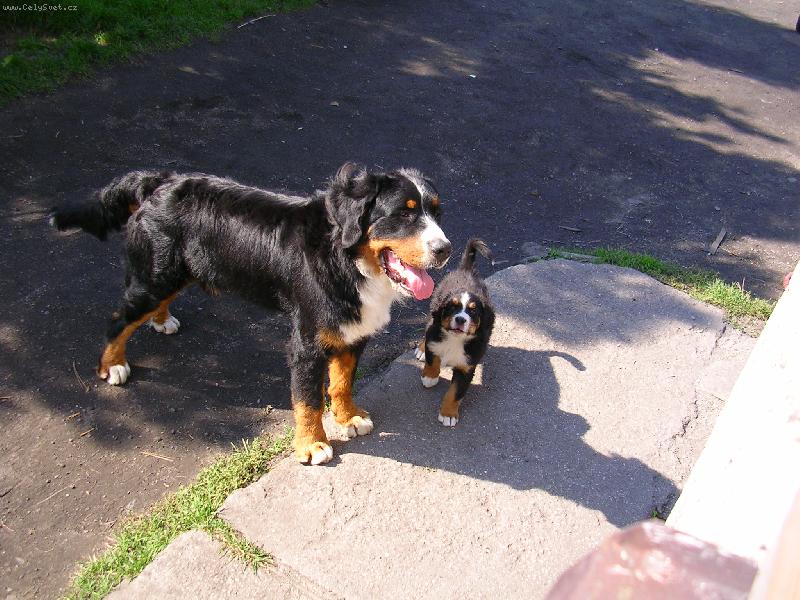 Foto: Max a Sam