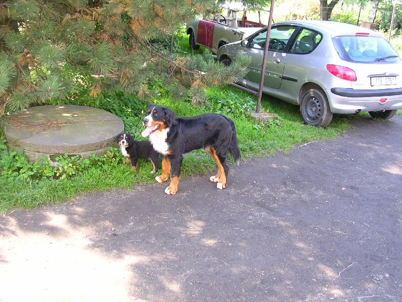 Foto: Max a Sam