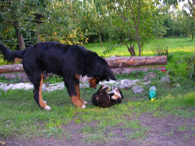 Foto: Max a Sam