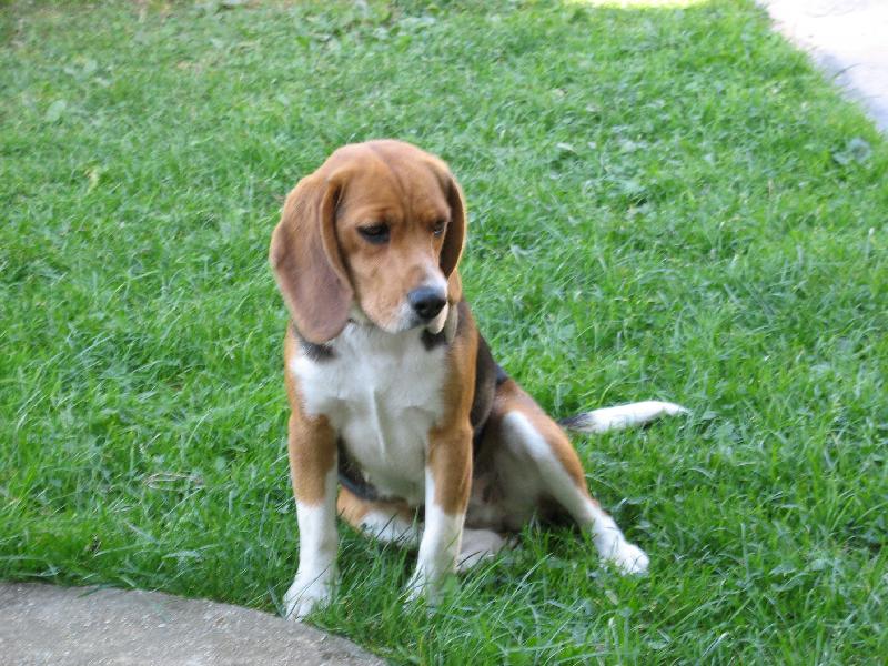 Foto: Na�e Tarinka