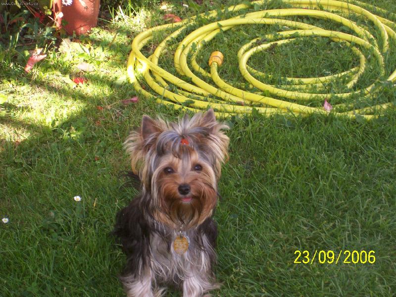 Foto: Bessy
