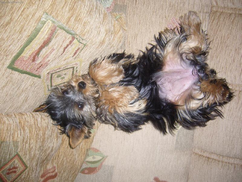 Foto: odpocinek