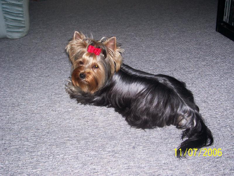 Foto: Bessy