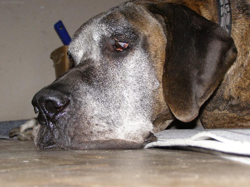 Foto: Caky u Rychl�ho ��bla