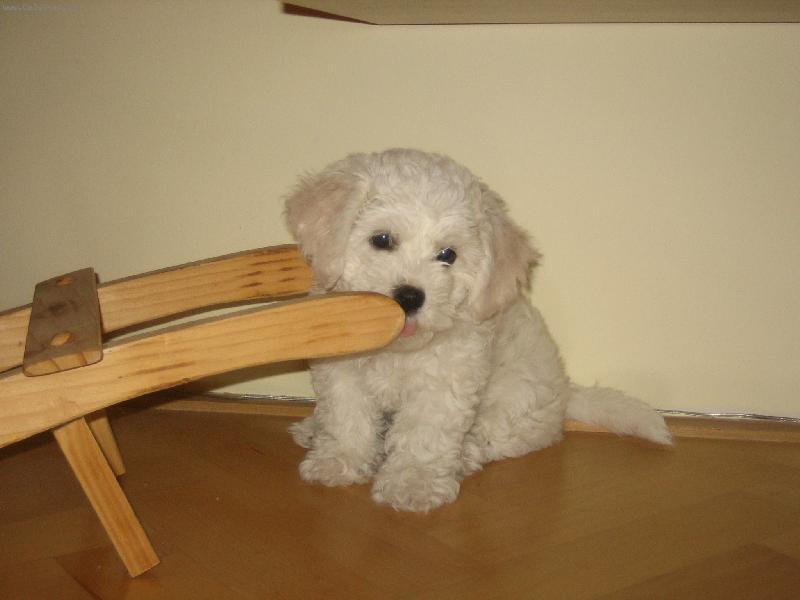 Foto: na�e Keisy