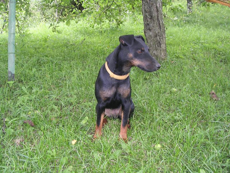 Foto: Cita