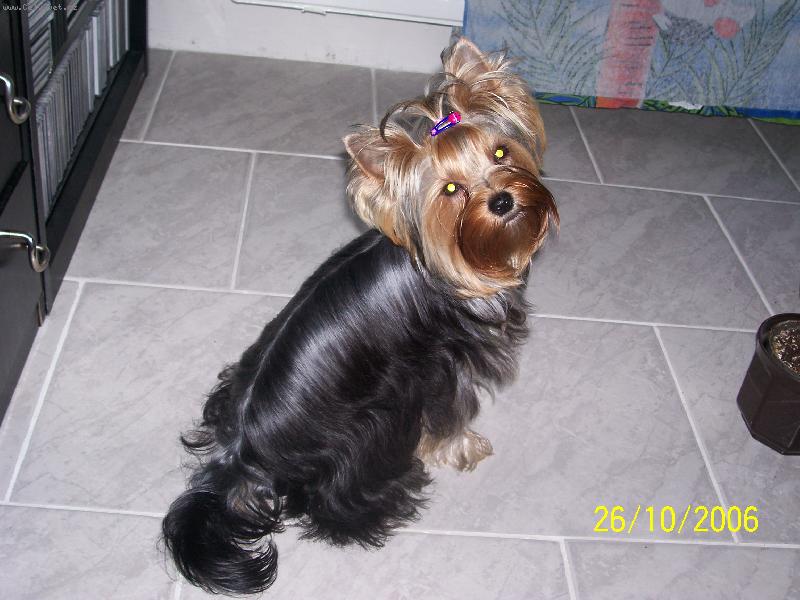Foto: Bessy