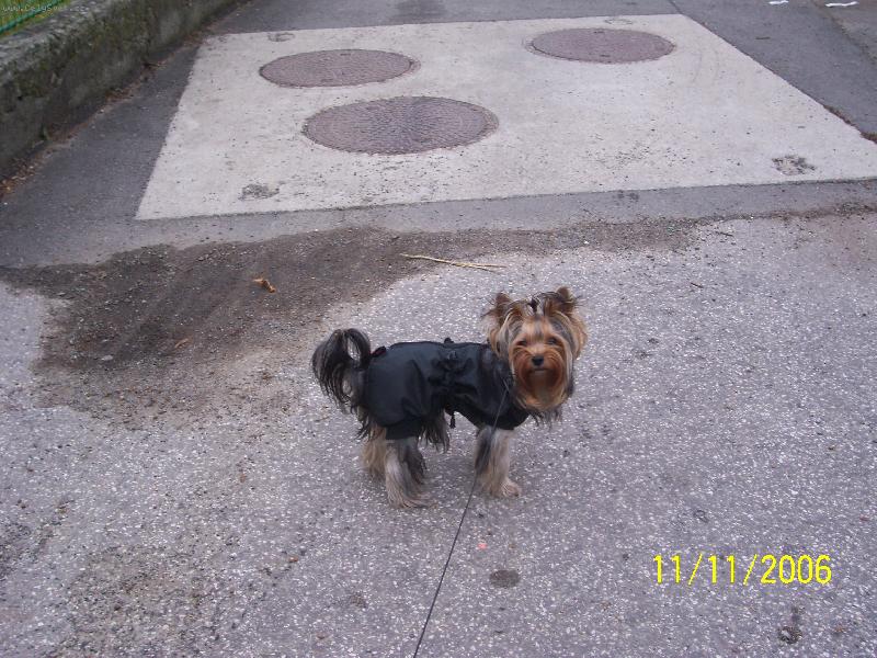Foto: Bessy