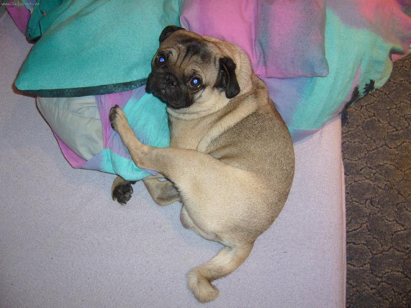Foto: Arnie