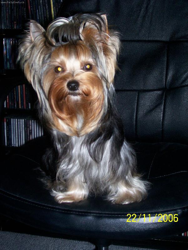 Foto: Bessy