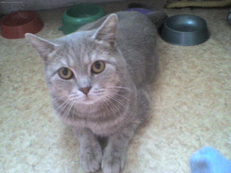 Foto: rony