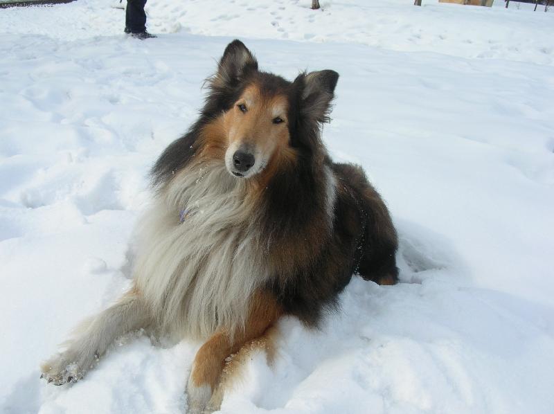 Foto: Gino-zima