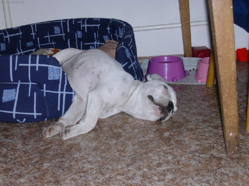 Foto: ORINKA