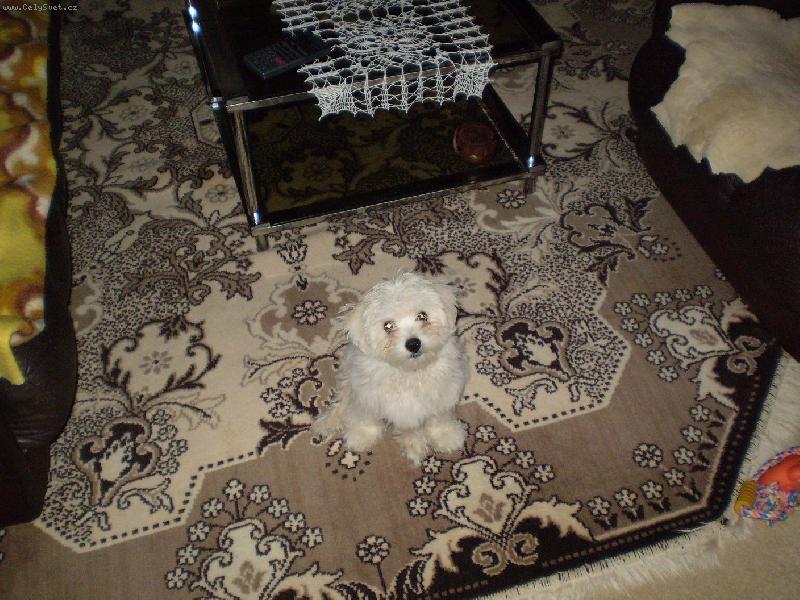 Foto: Mont�k:)