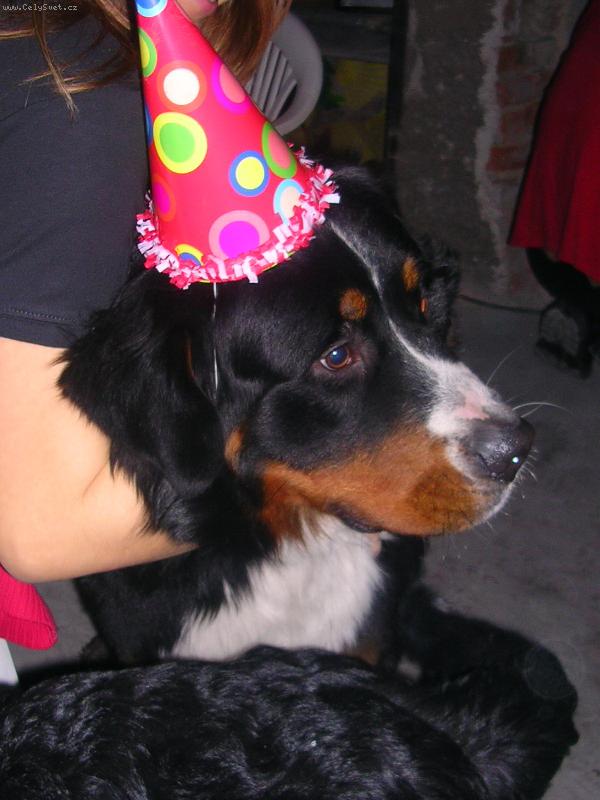 Foto: Max
