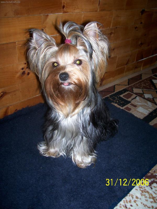 Foto: Bessy