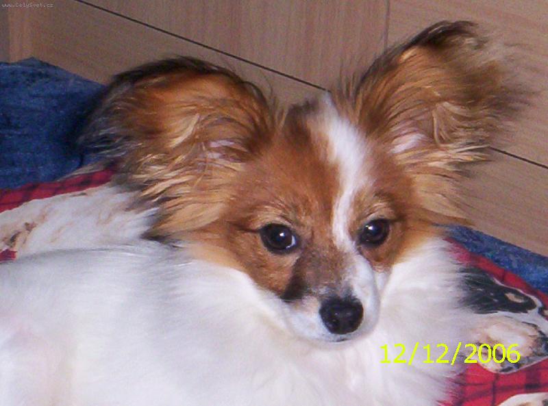 Foto: �ja
