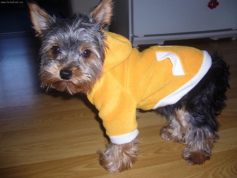 Foto: jdu na prochazku