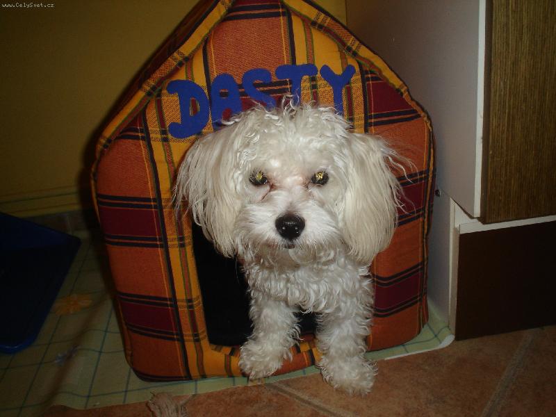 Foto: Dasty