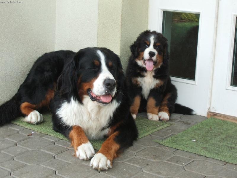 Foto: Astor Polepsk� �dol�