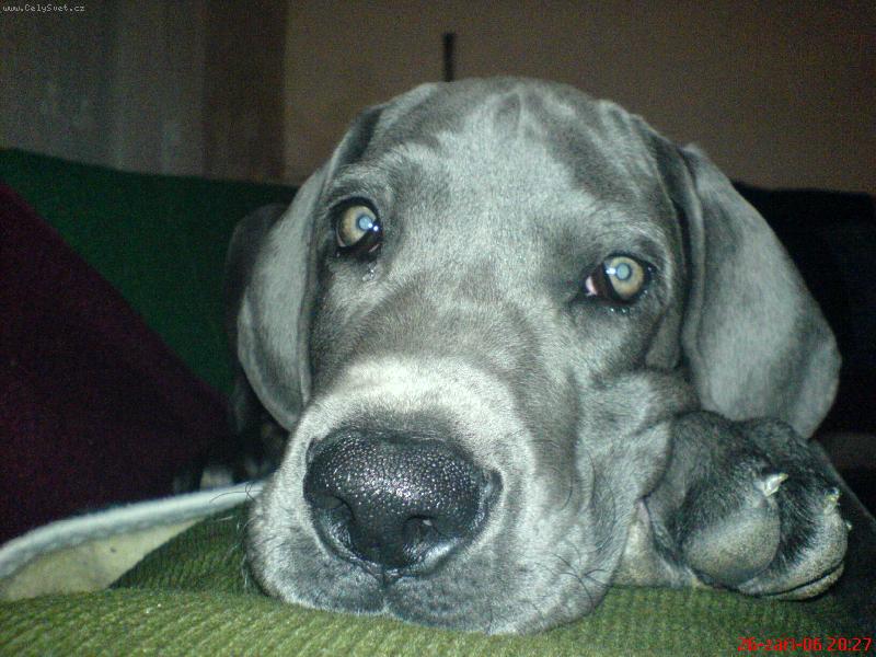 Foto: smutnim...
