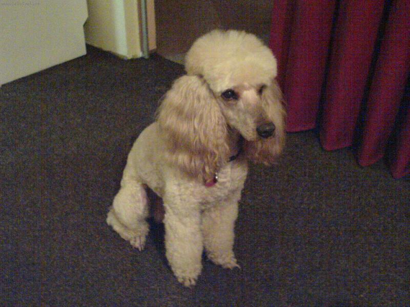 Foto: Sam