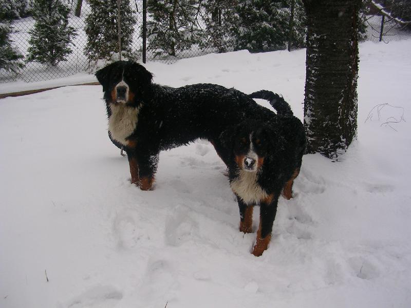 Foto: Max a Sam