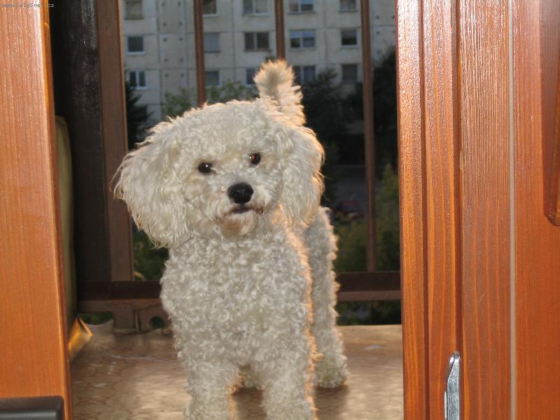 Foto: Max