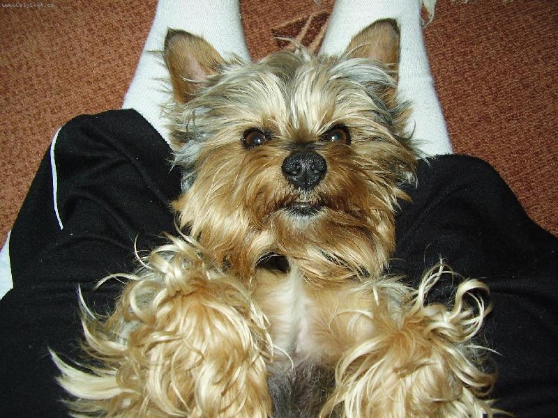 Foto: charlie