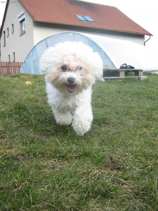 Foto: M�j d�m, m�j hrad-Shereenka