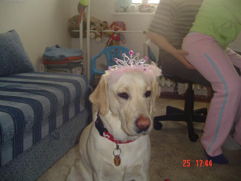Foto: princezna Meg