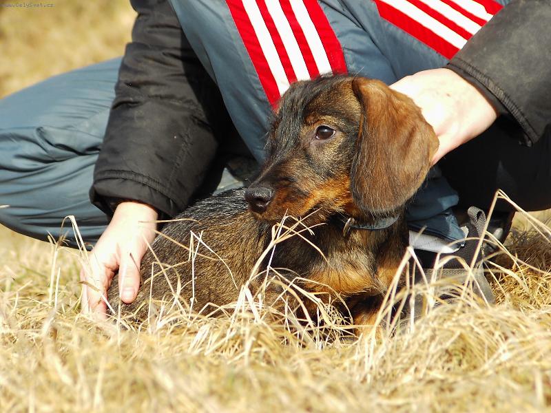 Foto: Bert�k