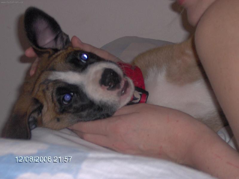 Foto: Smokey