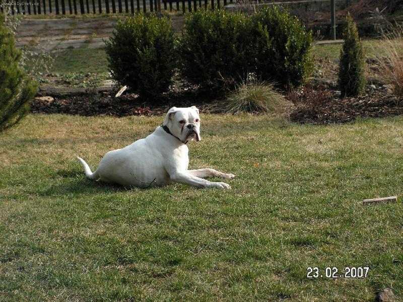 Foto: Lady